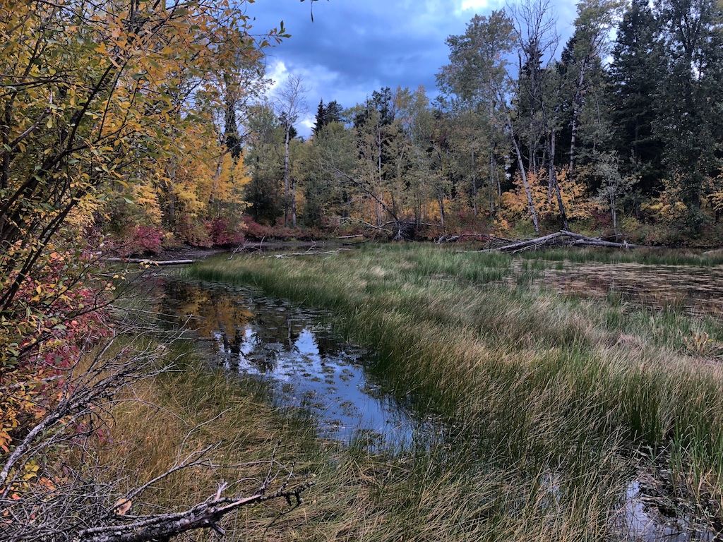 Drought Mtn Pond in Fall